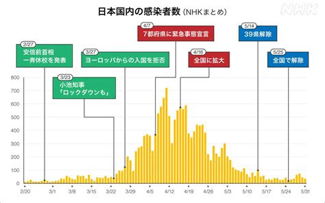 民間の調査会による検証報告 新型コロナウイルス NHK