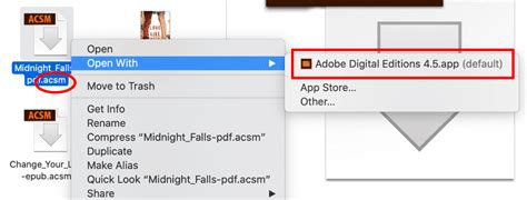 There's also an alternative way to download and install the google play books app on your windows pc/mac. Transfer Google Play Books to iBooks/Apple Books