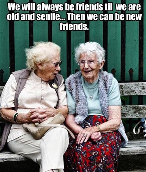 funny jokes hilarious funny stuff alter humor great quotes inspirational quotes old age