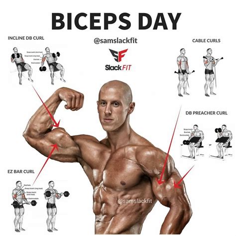 Rutina De Ejercicios Para Biceps Y Pecho