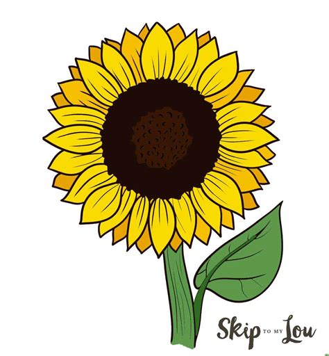 Sunflower Drawing Easy Step By Step Gale Storey