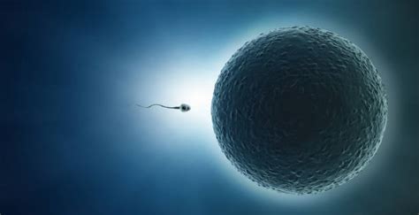 Assisted Reproduction And Gynaecology Centre Afbeeldingen Beelden En