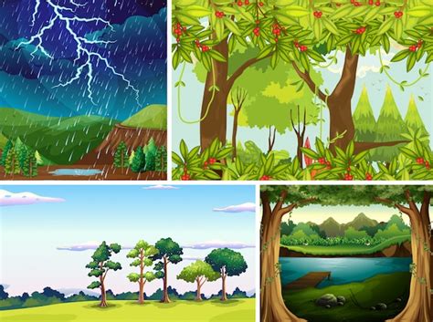 Cuatro Escenas De Naturaleza Diferente De Estilo De Dibujos Animados De