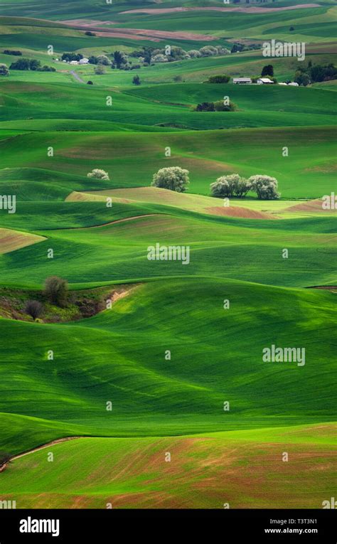 Rolling Green Hills In Rural Landscape Stock Photo Alamy