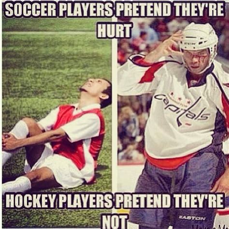 Just A Flesh Wound Funny Hockey Memes Hockey Quotes Funny Sports