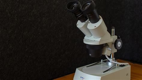 Stereomicroscopes And Dissecting Microscopes Archives Scientific