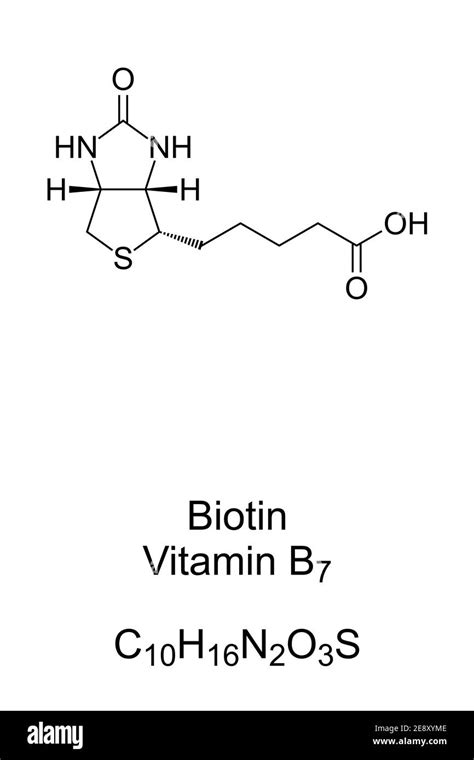 Vitamin B7 Structure Hot Sex Picture