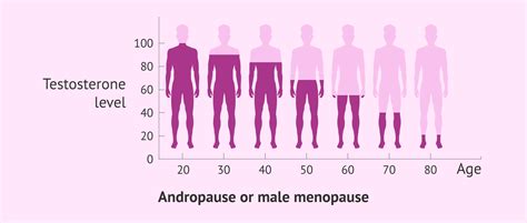 What Is The Andropause The Male Version Of The Menopause Explained