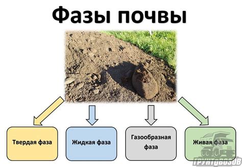 Состав почвы – что входит в состав почвы