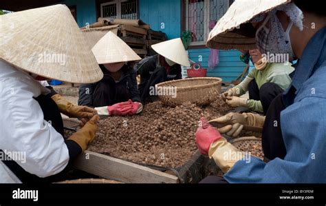 Farm Workers In Dalat Vietnam Stock Photo Alamy