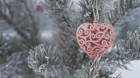 Snow Covered Christmas Tree With Heart Decoration Hd Christmas Tree