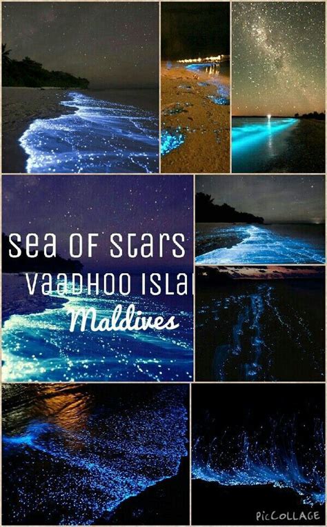 Sea Of Stars Vaadhoo Island Maldives Maldives Travel Maldives