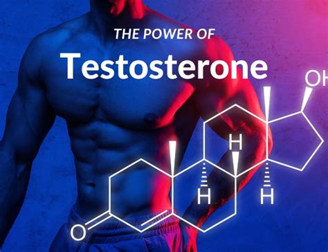 Unraveling The Power Of Testosterone The Hormone That Drives Masculinity Health Medici