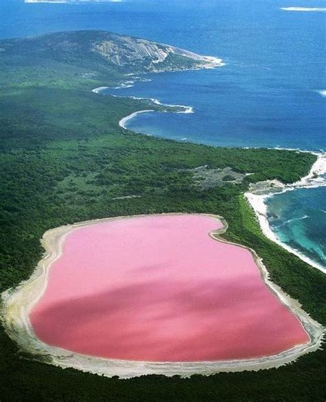 Amazing Pink Lake In Australia A Surrial Place To Visit Full Dose