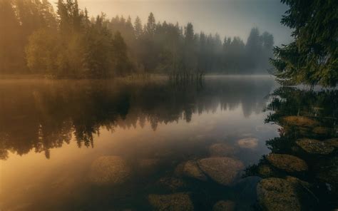 1400x875 Nature Landscape River Calm Water Mist Forest Sunrise