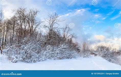 Panorama Of Winter Landscape Stock Image Image Of Frost Background