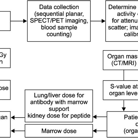 Imaging And Dosimetry In Clinical Trials Of Targeted Radionuclide