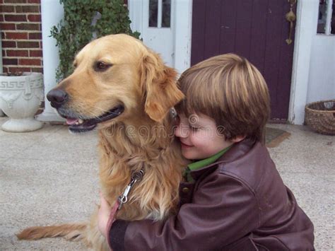 Boy And Golden Retriever Portrait Stock Photo Image Of Leather