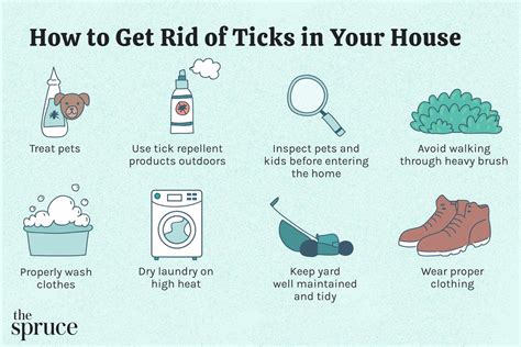 How To Get Rid Of Dog Ticks Home Remedies