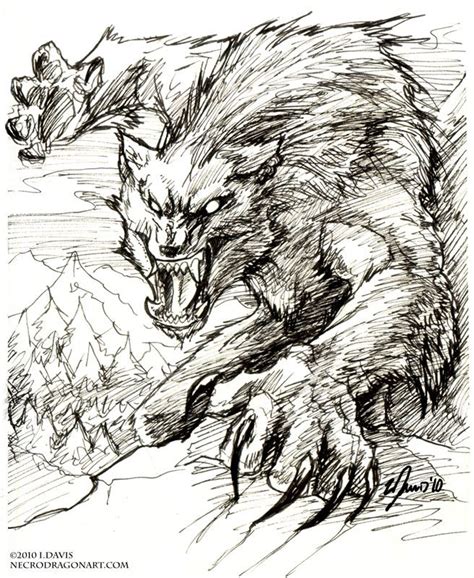 Scary Wolf Drawing At Getdrawings Free Download