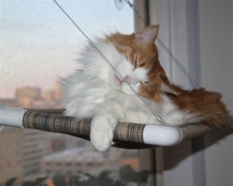 If you're handy on the tools, perhaps this diy guide is for you. Feline Window Seats : Window Perch