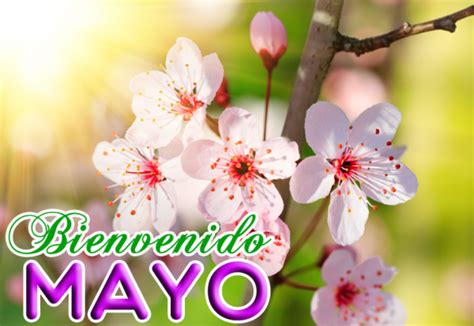 45 Imágenes De Mayo Con Bonitos Mensajes De Bienvenida