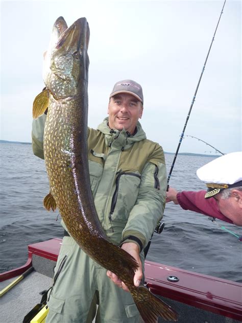 Lake Saimaa Fishing Travels Great Fishing Weekend In