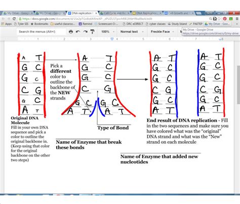 Replication paintings search result at paintingvalley com. EC Honors Biology: Monday and Tuesday January 25th and ...