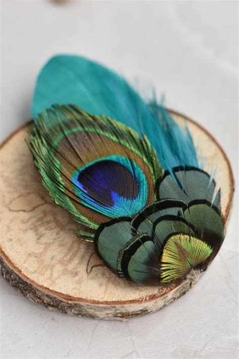 teal and peacock feather hair clip peacock feather etsy