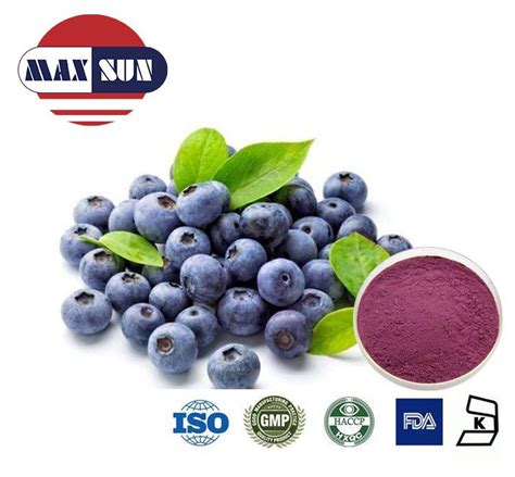 Bilberry has been known to assist in treating diseases like diabetes, liver and kidney damage. Blueberry Extract Manufacturer & Suppliers & Distributor ...