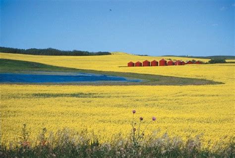 Canadian Prairies | Canadian prairies, Landscape, Landscape photos