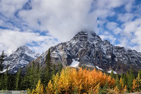 Mt Chephren Fall Colors Mistaya Valley Icefields Parkway Banff Np