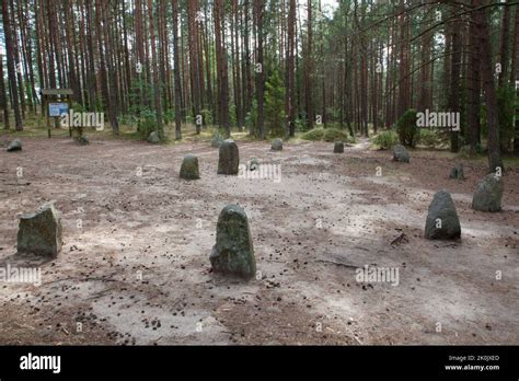 Megalithic Stone Circles In Węsiory Poland Kamienne Kręgi Węsiory