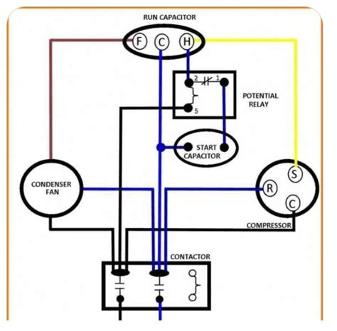 Craftsman Air Compressor Capacitor Wiring Diagram Eas - vrogue.co