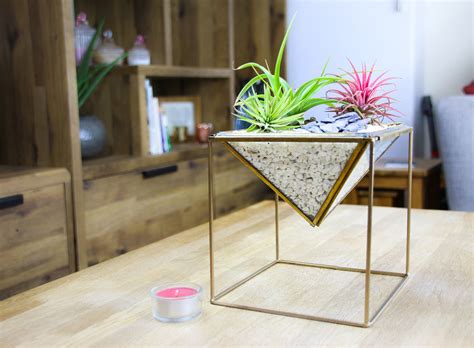 Raised Geometric Brass Planter With Three Living Air Plants The Art Of Succulents