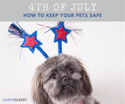 5 Tips To Keep Your Dog Safe On The 4th Of July