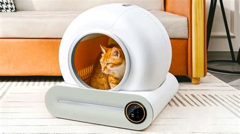 Top 5 Best Automatic Cat Litter Boxes Self Cleaning Litter Box