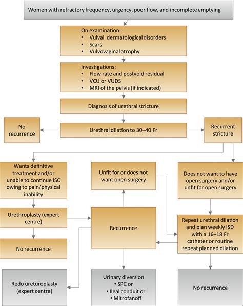 European Association Of Urology Guidelines On Urethral Stricture Disease Part 3 Management Of