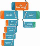 Types Of Whole Life Insurance Policy Pictures