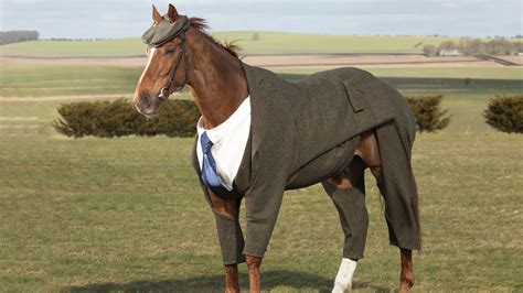 A Horse Wore A Suit Today Gq