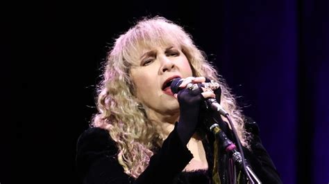 The Shady Truth About Stevie Nicks Short Marriage To Kim Anderson