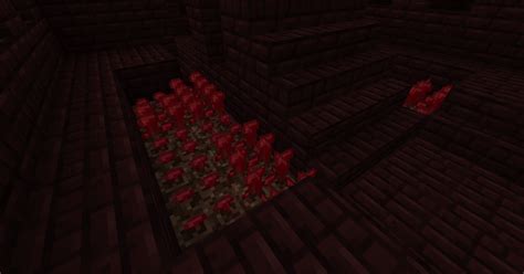 Nether Wart Farm By Badwolf101 On Deviantart