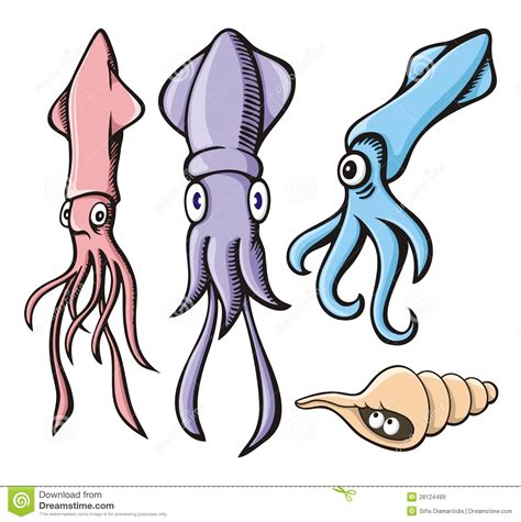 Squid Cartoons Stock Vector Illustration Of Cartoon