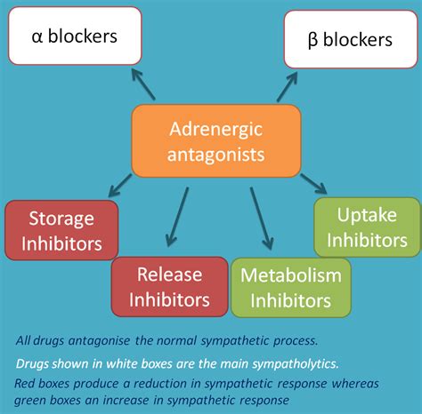 Adrenergic Antagonists Introduction