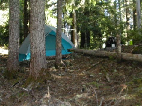 Camp Site At Marion Lake Colorado Outdoor Outdoor Camping Camping