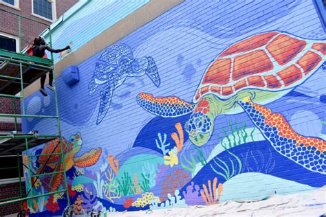 ‘sea Walls Murals Advocate For Ocean Conservation Wonderland