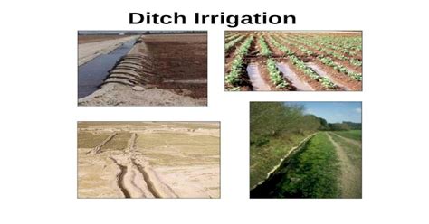 Ditch Irrigation Ppt Powerpoint