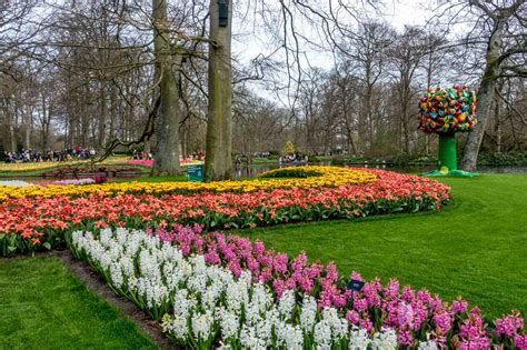 Tips For Visiting Keukenhof Gardens And The Tulip Fields In The Netherlands