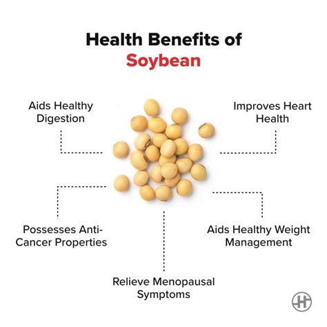 Soybean Benefits Nutrition Value And Recipes Healthifyme