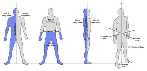 Crossfit Planes Of Motion Body